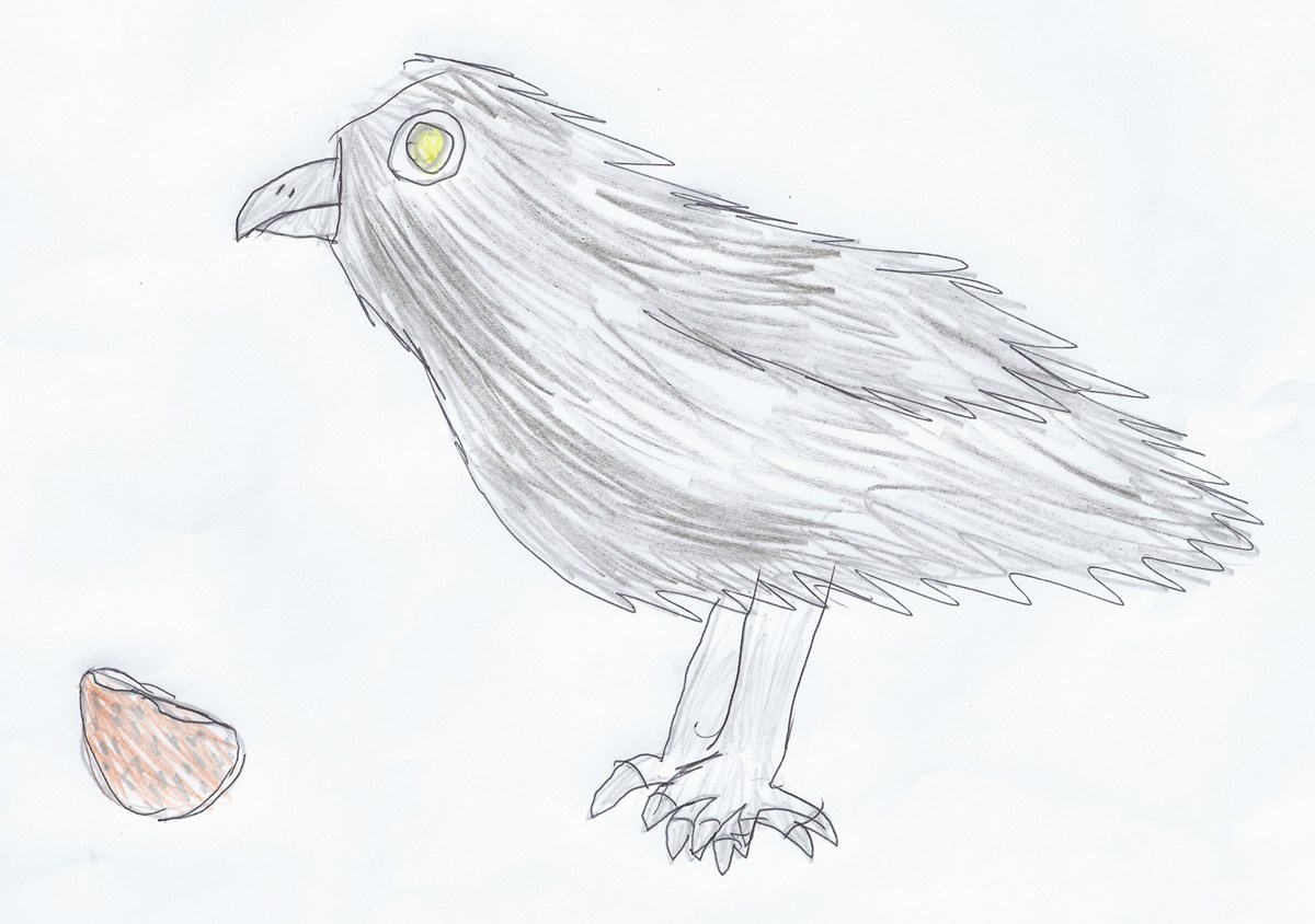 Crow Orange